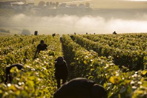 Parma-Epernay, gemellaggio di eccellenze tra la capitale della Food Valley e quella della Champagne