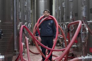 Il racconto del vino con la fotografia: ecco “Vino. Oltre il ritratto” by Zenato