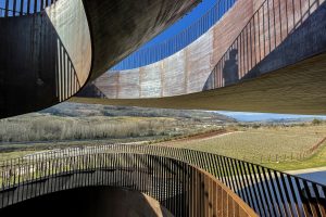 “Errazuriz Wine Photographer of the Year” 2022, all the beauty of wine in photographs