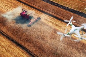 Sostegno alle imprese, sul piatto 2 miliardi per investimenti nelle filiere agricole nazionali