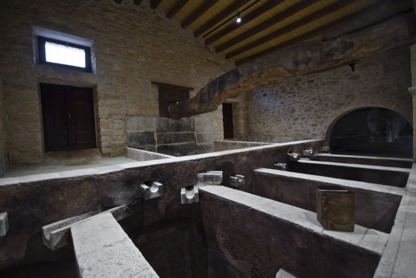 La Sicilia del vino, laboratorio sui cambiamenti climatici