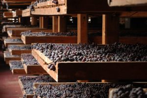 Amarone della Valpolicella, un classico del vino italiano. I “perchè”, li spiegano i produttori Amarone della Valpolicella, un classico del vino italiano. I “perchè”, li spiegano i produttori