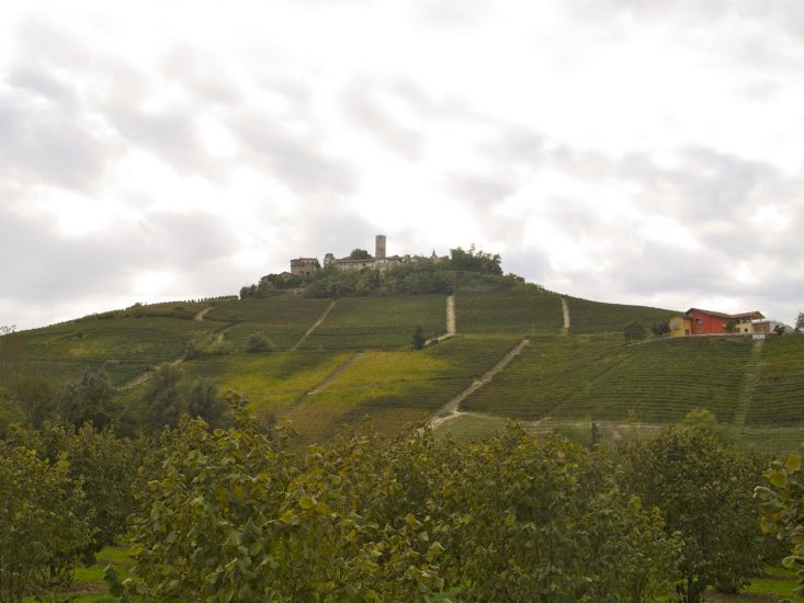 Barolo e Barbaresco, alfieri del vino di Langa