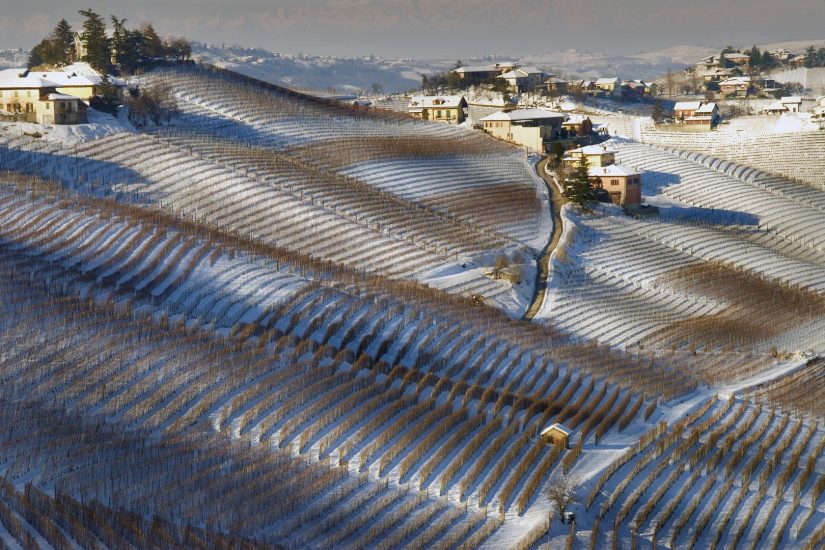 Barolo e Barbaresco, alfieri del vino di Langa