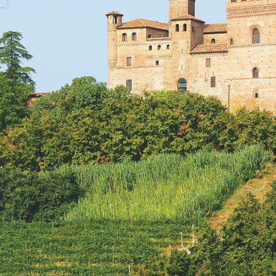 Barolo e Barbaresco, alfieri del vino di Langa