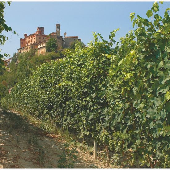 Barolo e Barbaresco, alfieri del vino di Langa