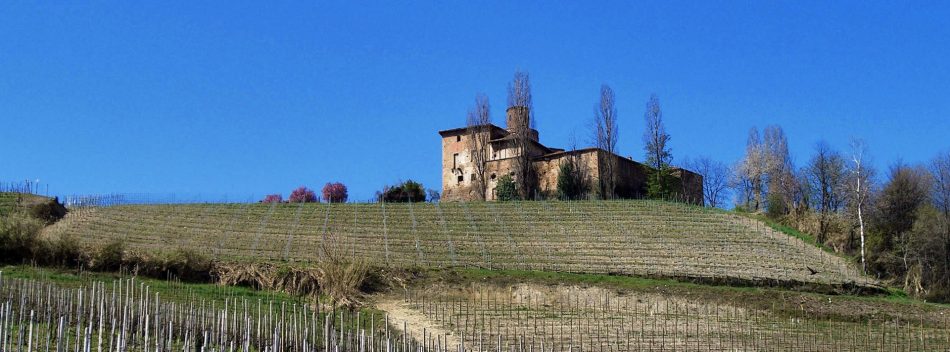 Barolo e Barbaresco, alfieri del vino di Langa