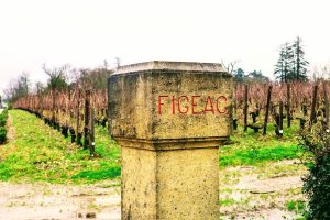 L’annata 2021 di Bordeaux tra andamento stagionale e mercato dei fine wines