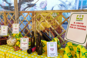 La guerra in Ucraina fa aumentare del 35% i costi in cantina per il vino italiano