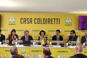 Il vino più venduto nell’ultimo anno? Il Lugana, seguito dall’Amarone e dal Valpolicella Ripasso