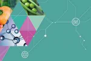 Meno zuccheri, pi&ugrave; potassio: la ricetta europea dell&rsquo;Efsa in vista dell&rsquo;etichetta nutrizionale