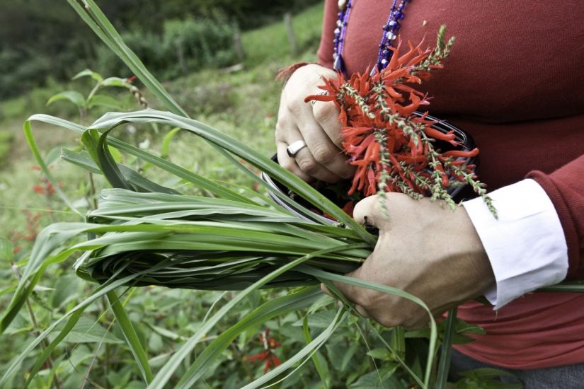 In Friuli tra asparagi ed erbe spontanee (ph: A. Castiglioni)
