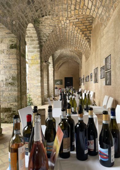 La Sicilia del vino, laboratorio sui cambiamenti climatici