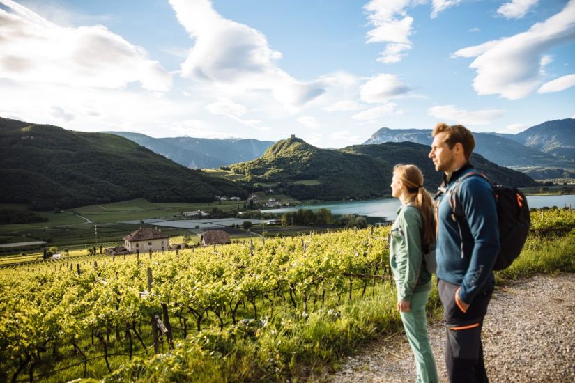 “Vigneti Aperti” nelle cantine italiane (ph: B. Pfitscher)