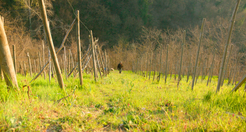 “Maga Lino. Un contadino. Una terra. Il coraggio”