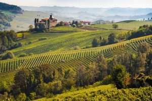 Anche il Monferrato Casalese ha la sua zonazione, fatta di 7 settori e 33 municipalità