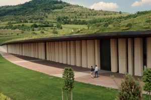 La nuova cantina di Pieropan (costata 20 milioni di euro): innovazione immersa nella natura