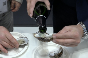 Originali, classici, audaci, gustosi: gli abbinamenti tra vino e cibo non sono mai banali