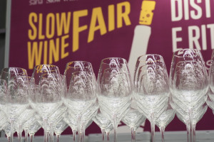 Le parole del “Manifesto” del vino “buono, pulito e giusto” di Slow Wine, secondo i produttori