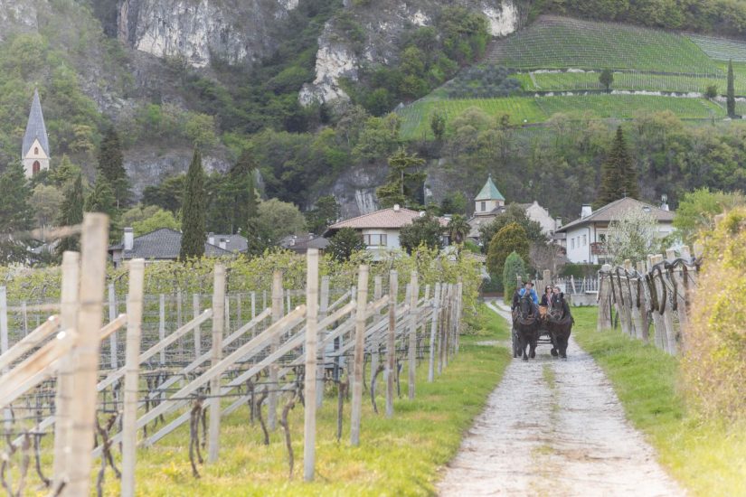 “Summa 2022” alla Tenuta Alois Lageder ne “L’Altro Vinitaly”