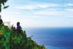 Tra viti eroiche e centenarie la Toscana bagnata dal mare a “Anteprima dei Vini della Costa Toscana”