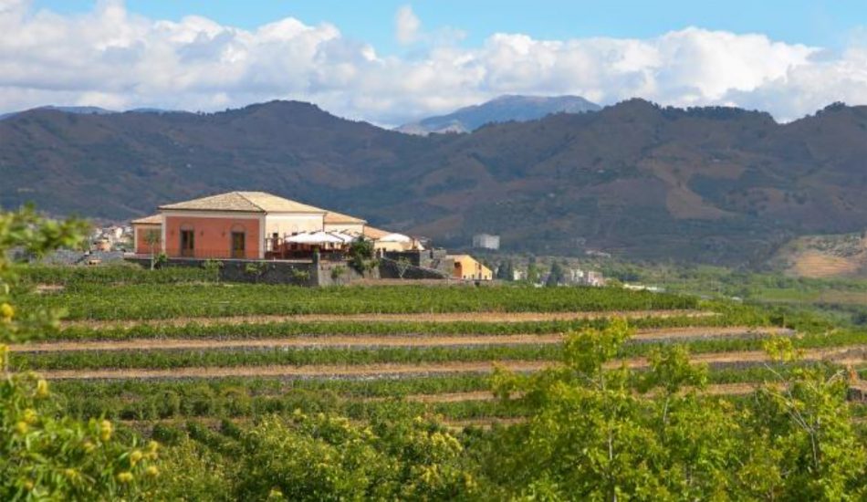La nuova tenuta di Tommasi sull’Etna