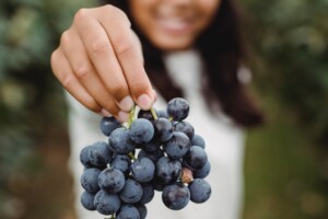 Francia, costi alti ed eccessi climatici frenano la corsa del biologico tra i filari
