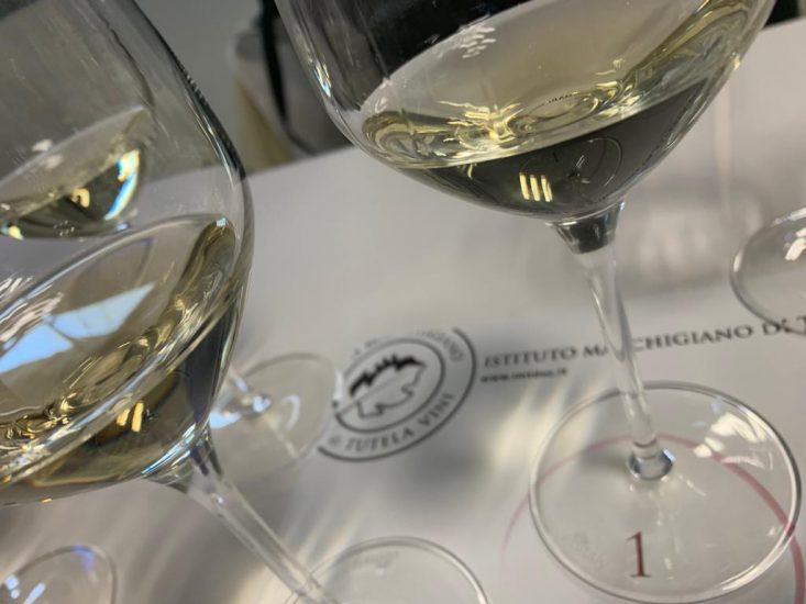 La degustazione di Verdicchio dei Castelli di Jesi a Vinitaly 2022