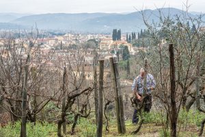 Firenze ha il suo vigneto in città: la “Vigna Michelangelo” con vista sulla “culla del Rinascimento”