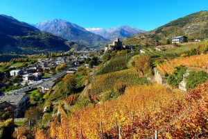 Anche i vini della Valle d’Aosta, dopo 50 anni di attesa, hanno il loro Consorzio Anche i vini della Valle d’Aosta, dopo 50 anni di attesa, hanno il loro Consorzio