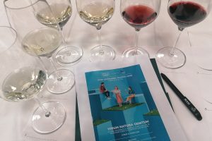 Ipsos per Masi: come si traduce in bottiglia la richiesta di naturalità e salubrità dei consumatori