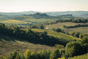 I Quaderni di WineNews - Il Chianti Classico