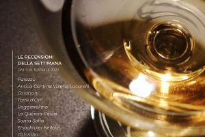 I Vini di WineNews - N. 200