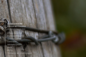 I Vini di WineNews - N. 204