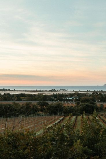 La sostenibilità a Château Galoupet (Lvmh), in Provenza