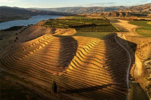 Edmond de Rothschild Heritage aggiunge la griffe neozelandese Akarua al mosaico