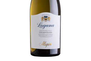 Allegrini, Doc Lugana Oasi Mantellina 2021