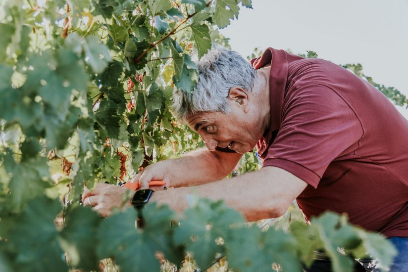 Antonio Intiglietta, fondatore di Tenuta Liliana