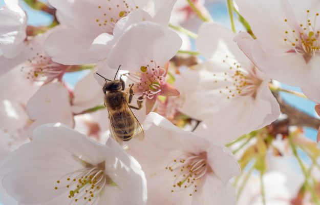 API, CLIMA, Coldiretti, Non Solo Vino