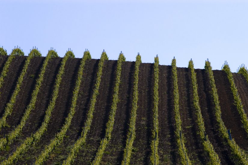 La Sicilia modello di sostenibilità