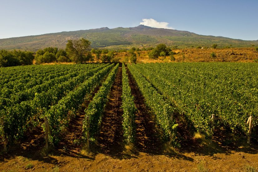 La Sicilia modello di sostenibilità