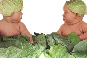 Mai pi&ugrave; pappe, doppia cucina, e piatti insapori con le &ldquo;ricette da grandi&rdquo; che fanno bene a tutti