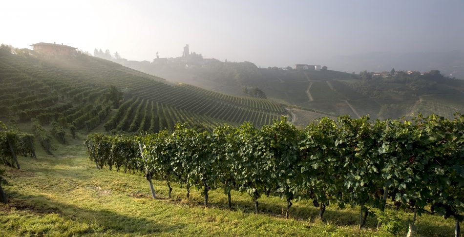 Il cru di Barolo Lazzarito, di Vietti
