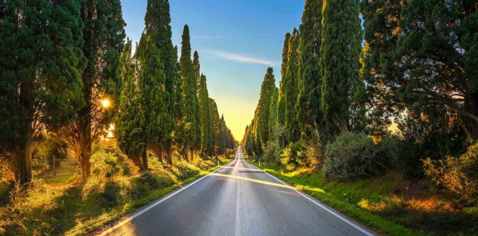 In settembre ci sarà l’edizione n. 2 di “Bolgheri DiVino