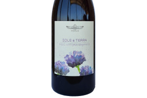 Cantina Horus, Doc Vittoria Frappato Sole e Terra 2020
