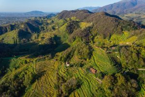 Nasce la prima cattedra universitaria Unesco in Italia in “Agricultural Heritage Landscapes” Nasce la prima cattedra universitaria Unesco in Italia in “Agricultural Heritage Landscapes”