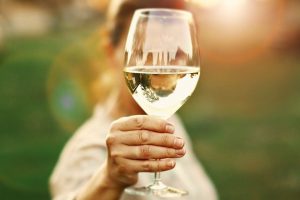 “Vino leader del made in Italy, ma il Governo ci tuteli da attacchi al consumo, non all’abuso” “Vino leader del made in Italy, ma il Governo ci tuteli da attacchi al consumo, non all’abuso”
