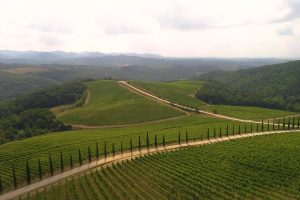 Dalla Toscana, e dalla storica Dievole, riflessioni sulla grande bellezza dei territori del vino