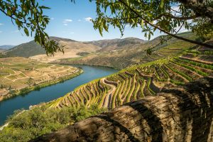 I 19 Comuni del Douro, in Portogallo sono la &ldquo;Citt&agrave; Europea del vino 2023&rdquo;