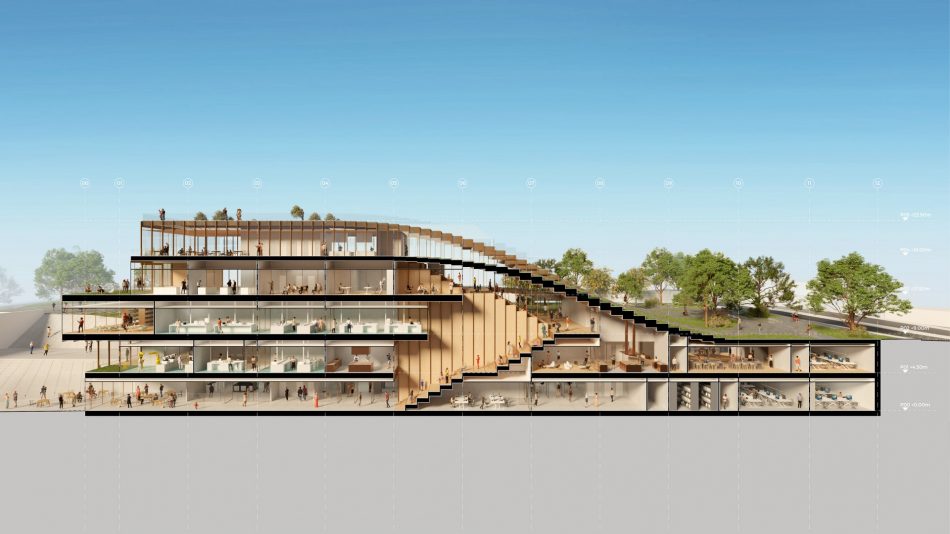 Il progetto “Olatuen bidea - Camino de las Olas”